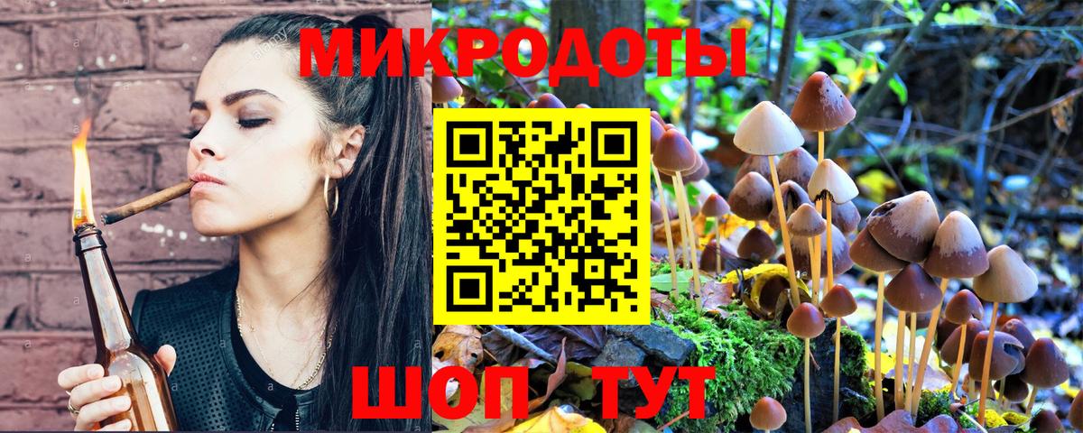 Галлюциногенные грибы MAGIC MUSHROOMS Городец
