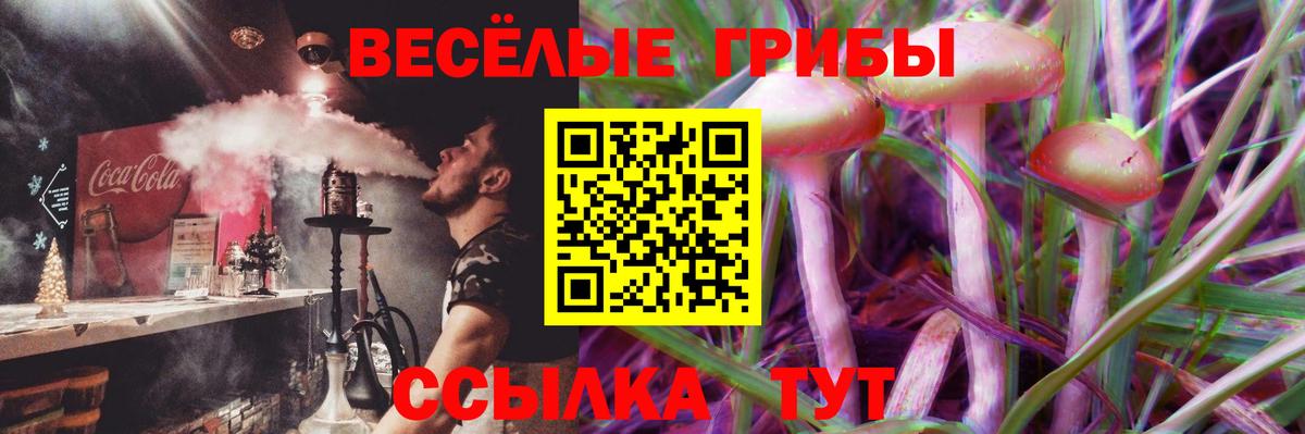 Городец  Псилоцибиновые грибы MAGIC MUSHROOMS  Галлюциногенные грибы прущие грибы  Вход с VPN 